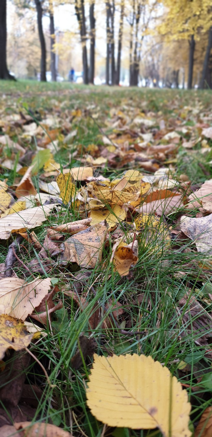 autumn...