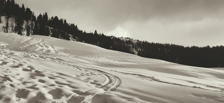 let's roll over in this snow