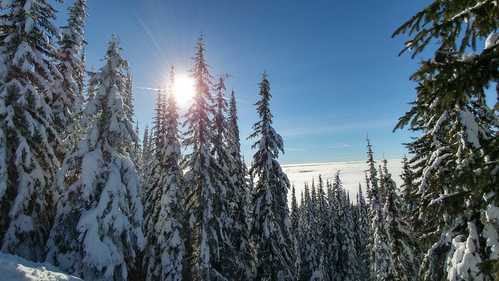 Beautiful BC: Above the Clouds at Sovereign