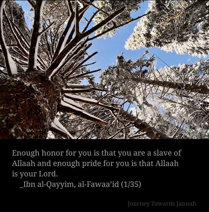 Journey Towards Jannah