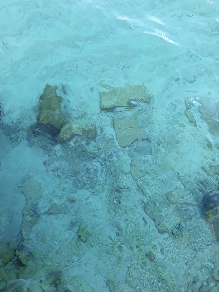 under the sea