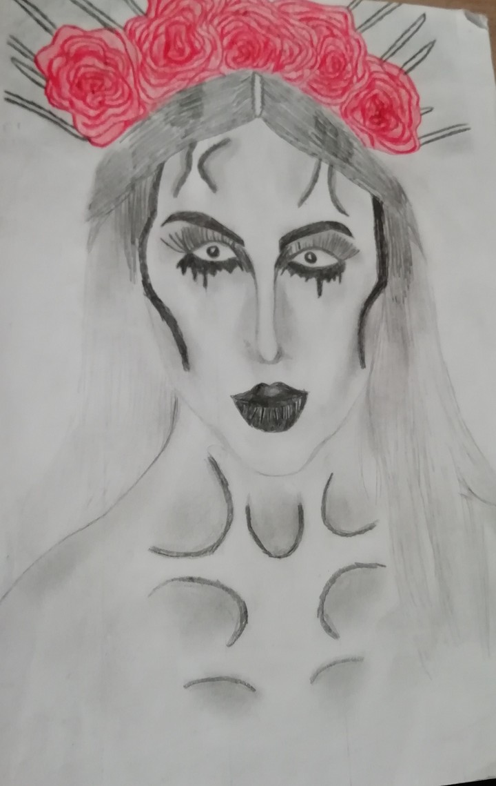 I drew this