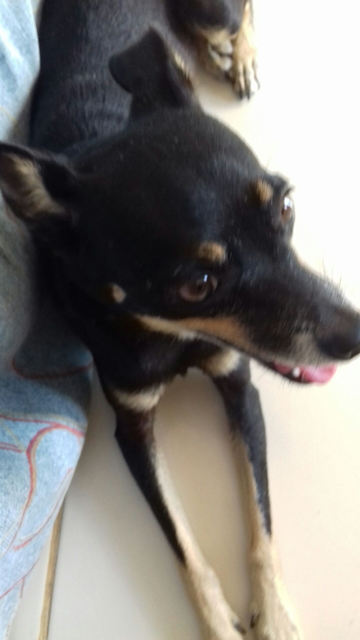 Minha