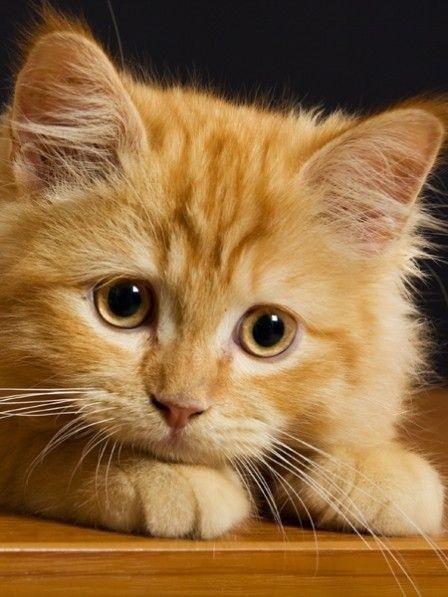 so süß ♥️♥️♥️
