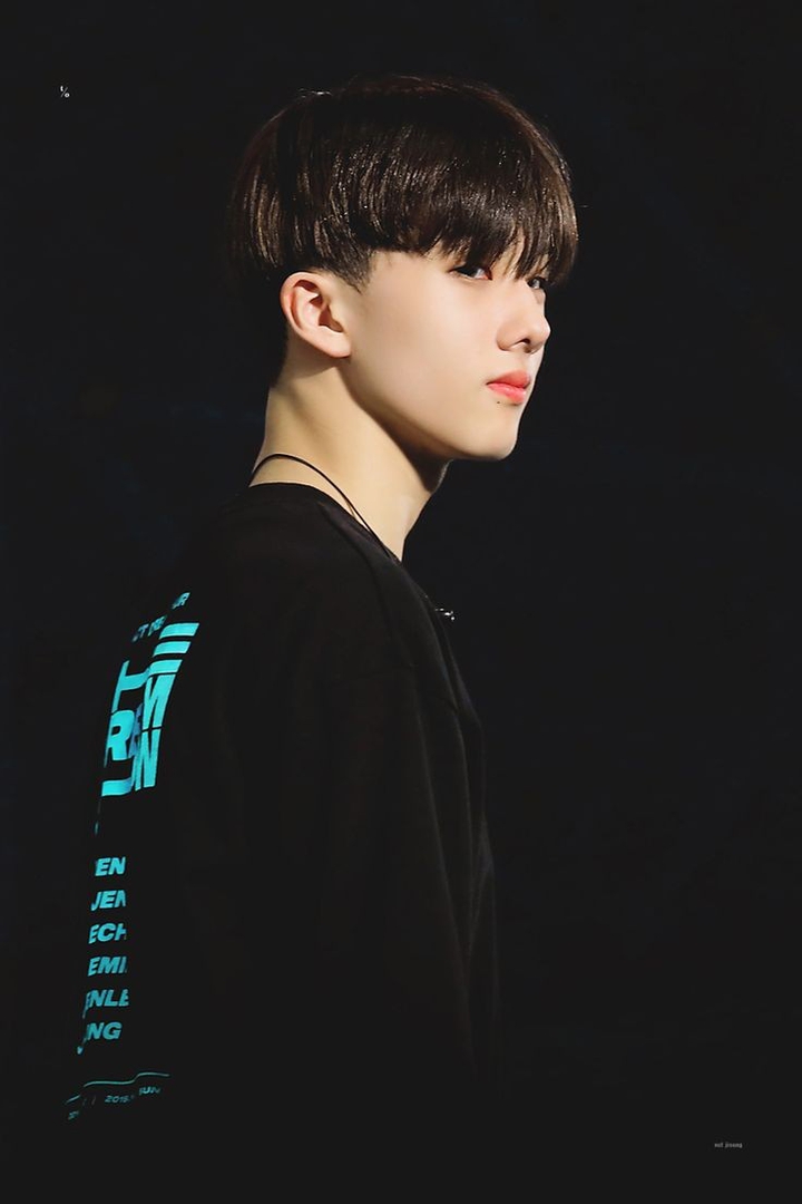 sungie