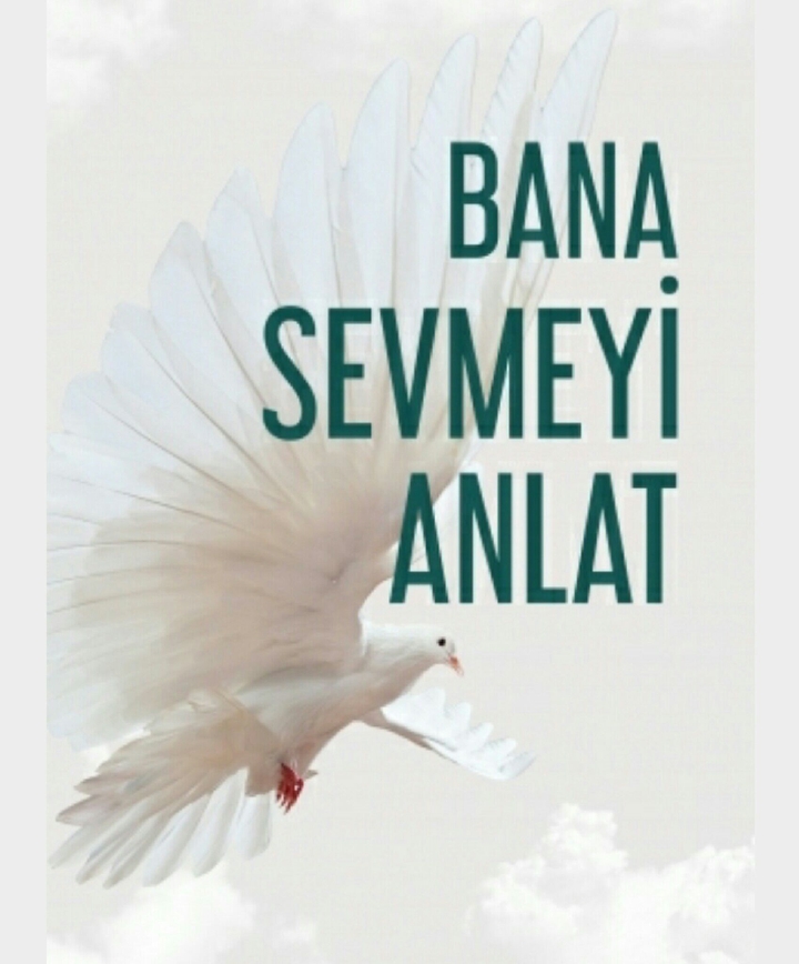 BanaSevmeyiAnlat
