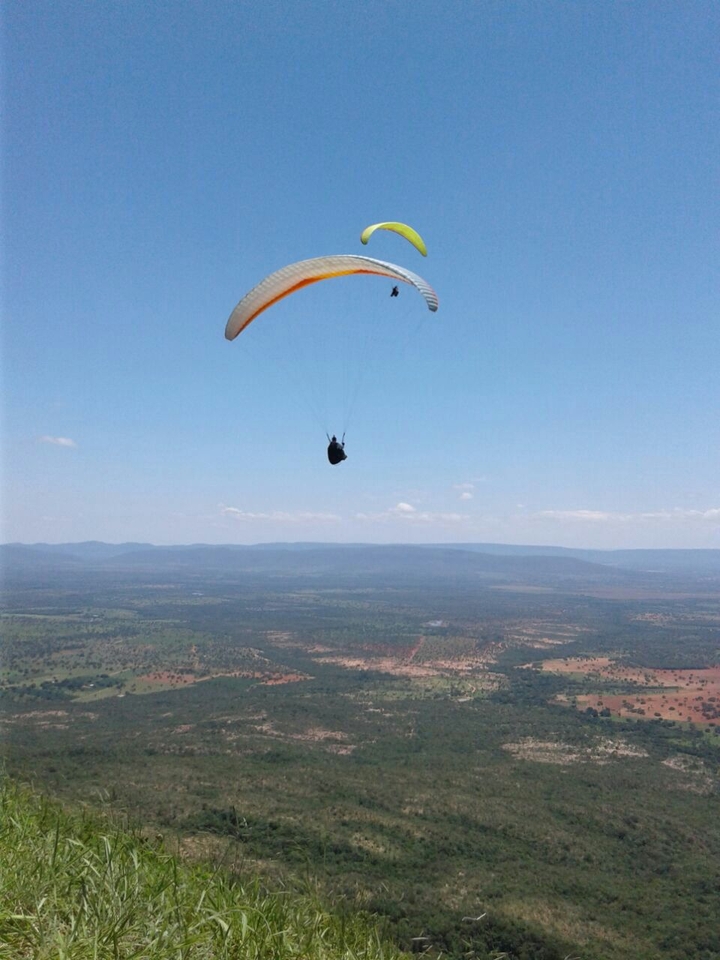 liberdade