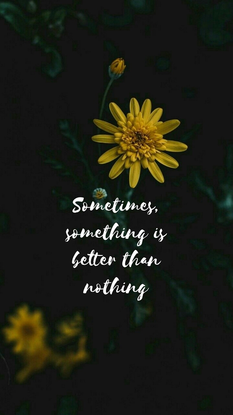 Quotes