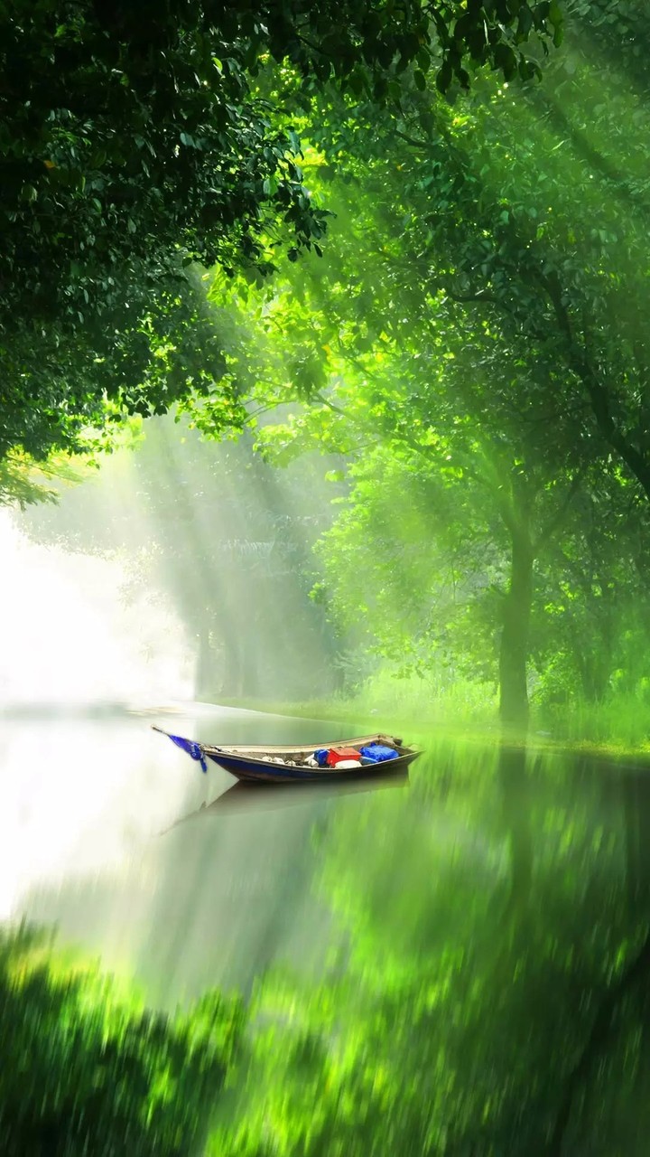 nature