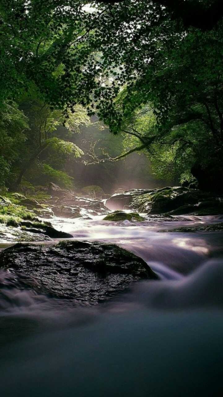 Река