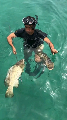 fish