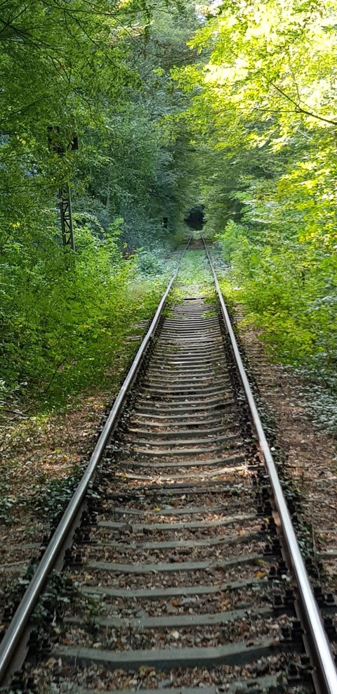 #oravitaanina #oldestrailtransportinromania #greenpath