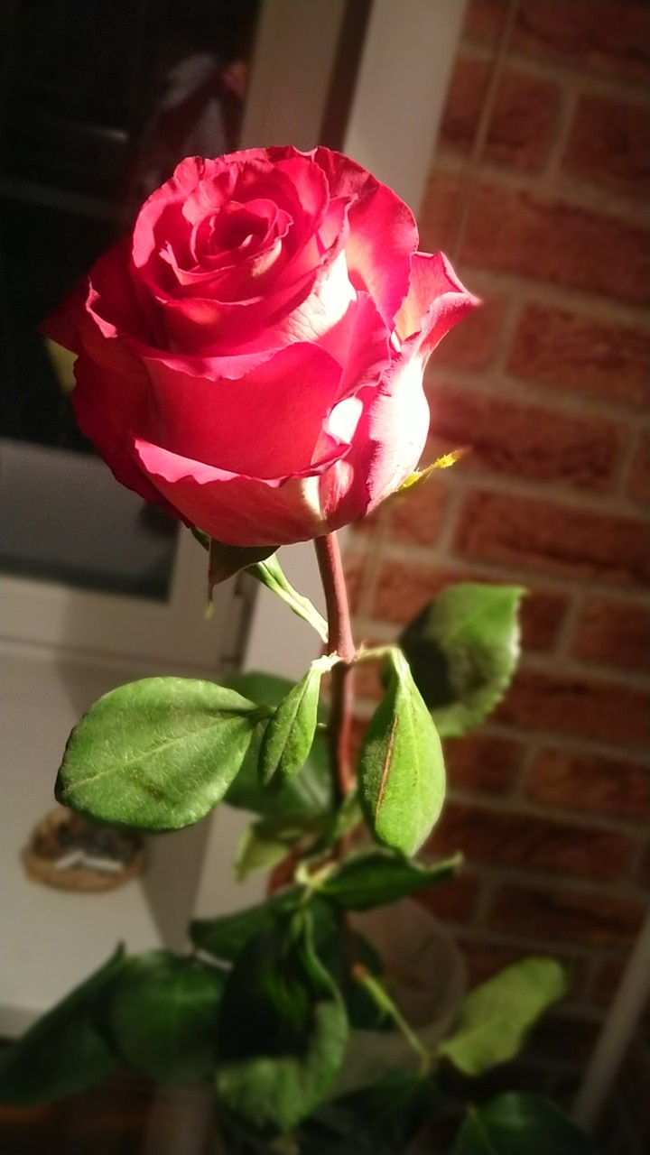 ❤️❤️❤️