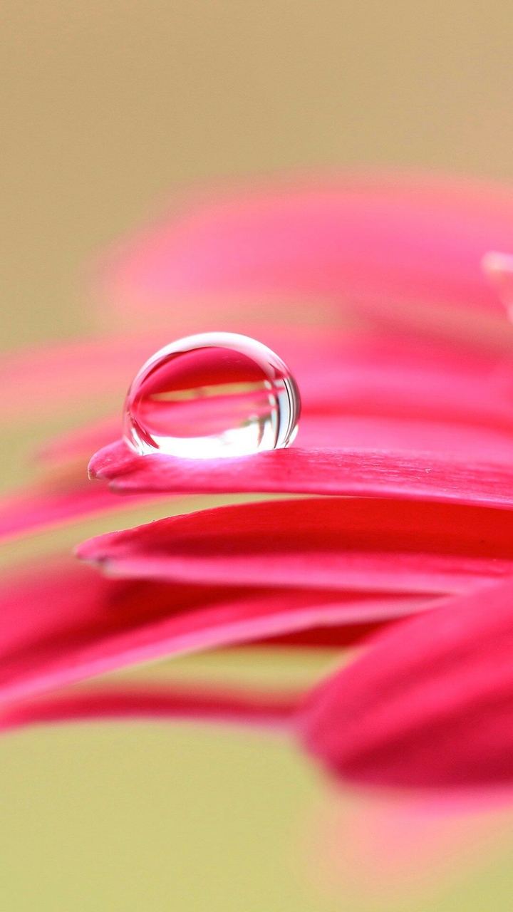 Water drop