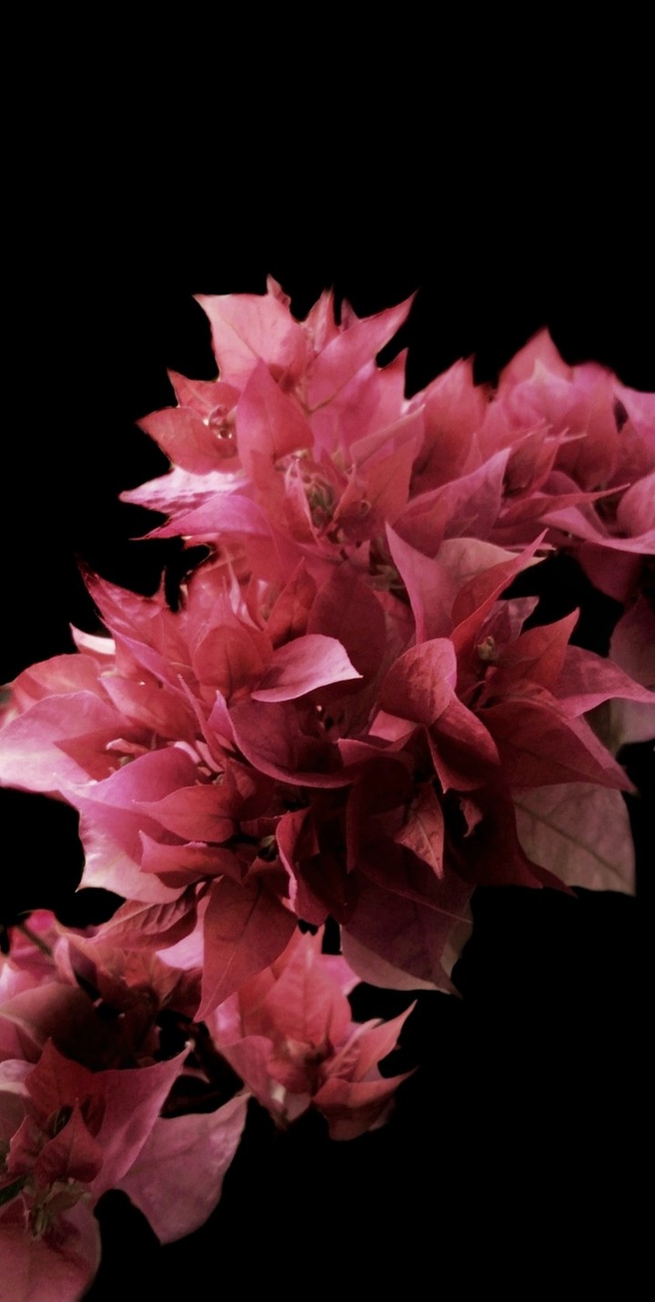 DarkBackground