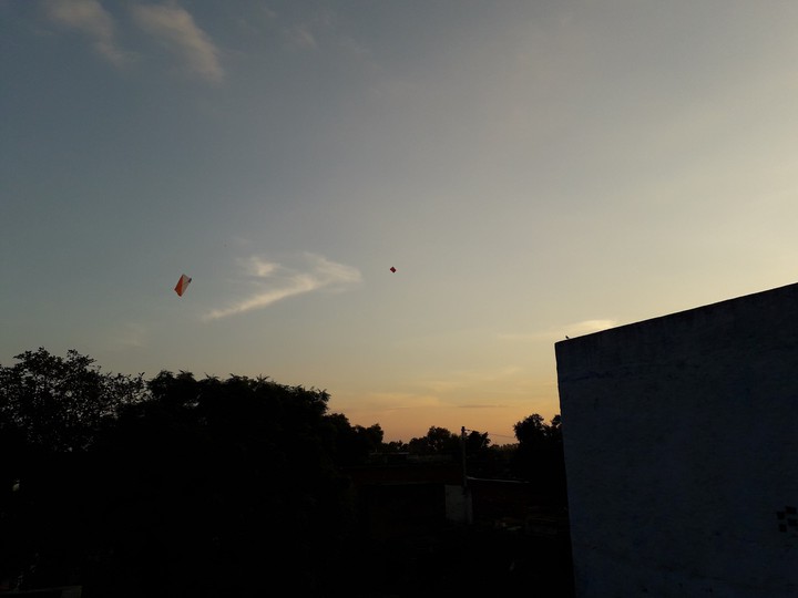kite