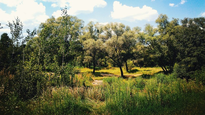 Lovely place of the rest