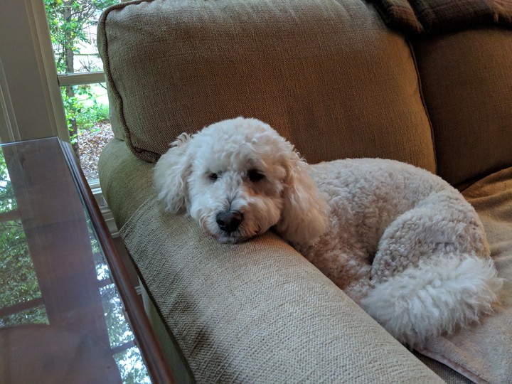 Ellie's Tired