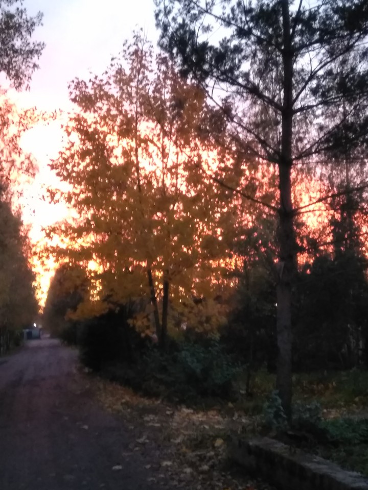 закат