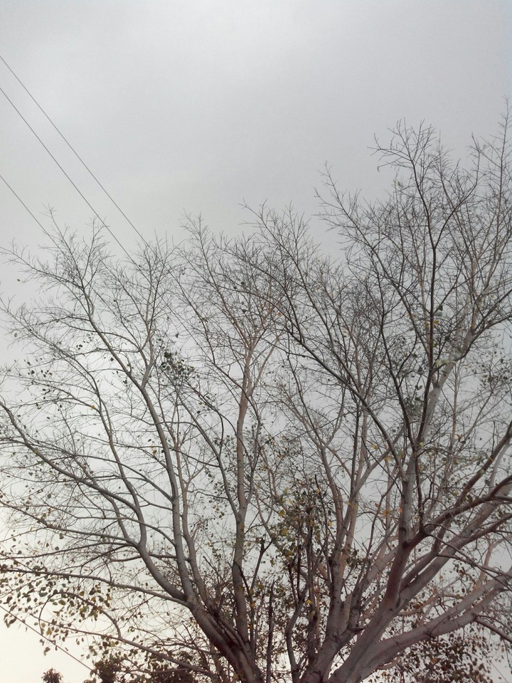 nature cool evening
