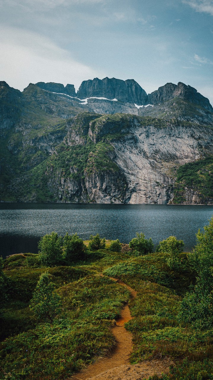 landscape