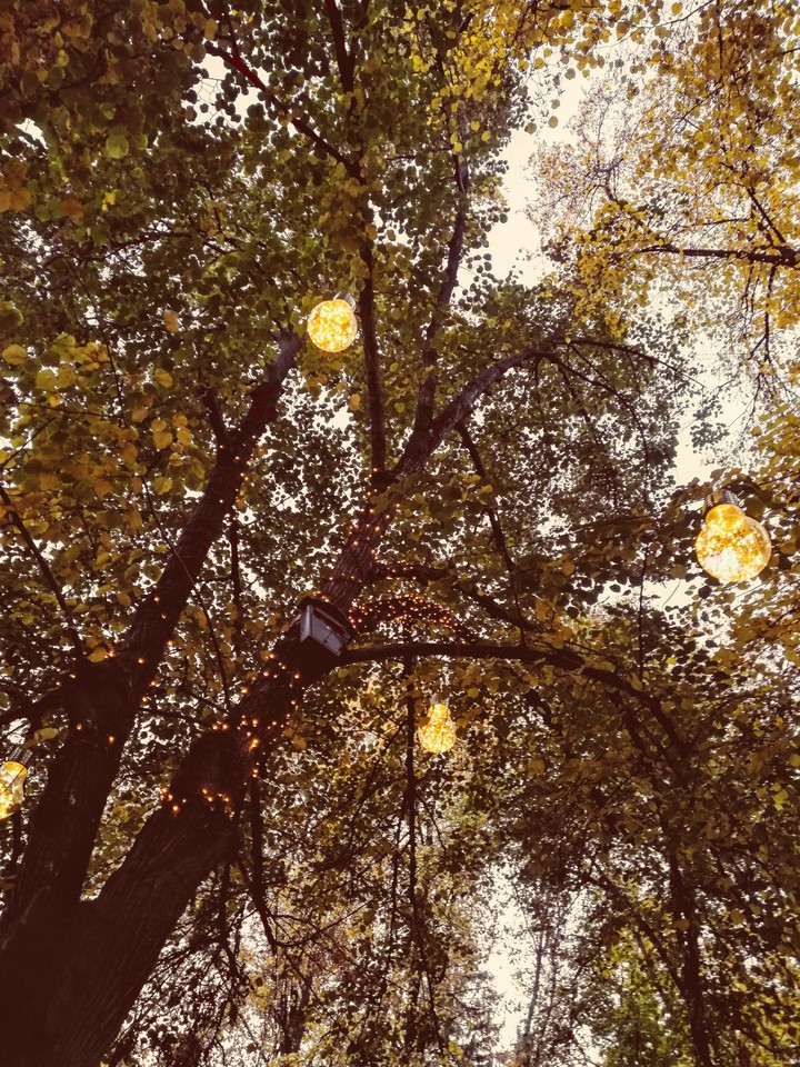Sweet autumn