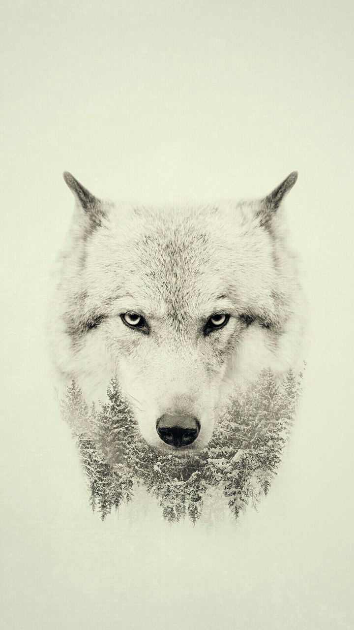#dont stare out of me