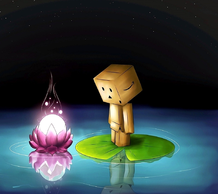 danbo