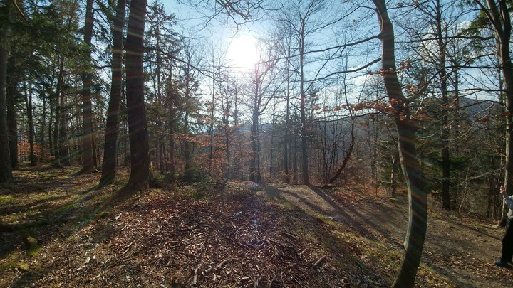 Cool nature
