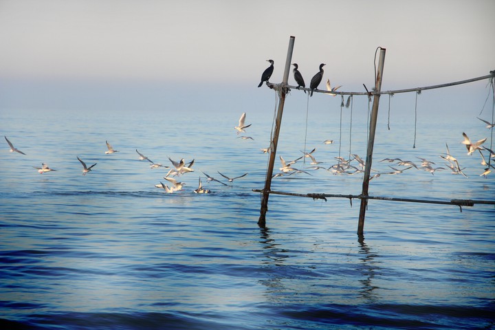 Caspian sea