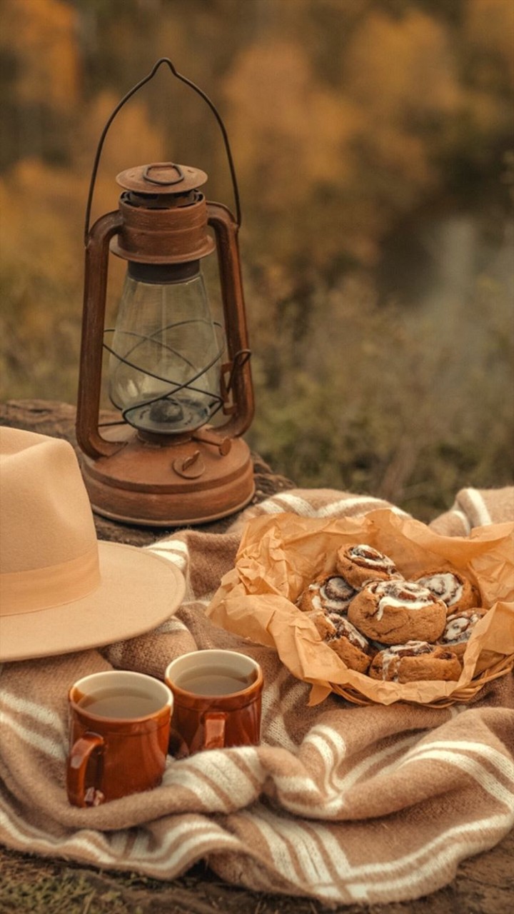 when you go camping do not forget to bring tea