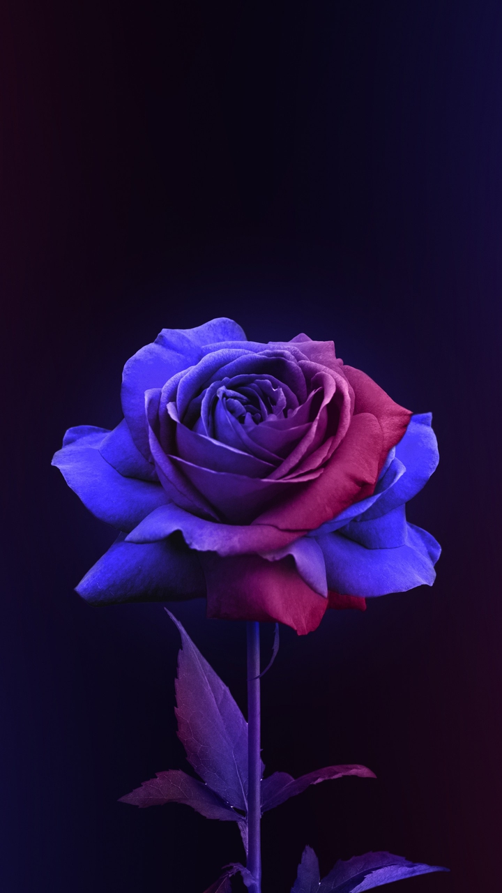 ❤