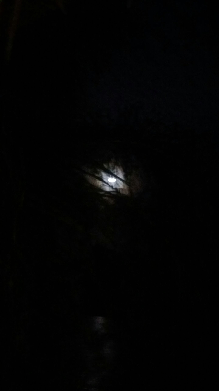 my moon