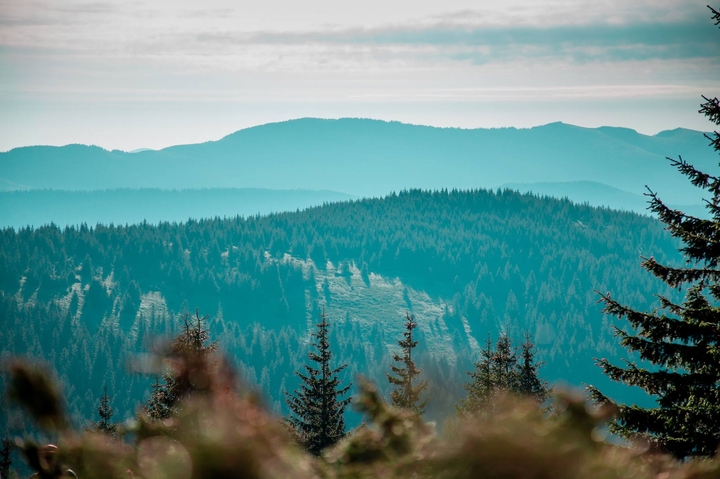 Karpathian mountains