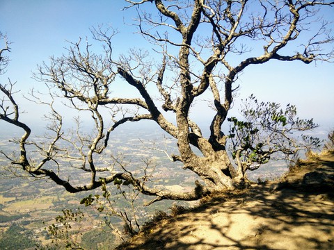 Nelliyampathi