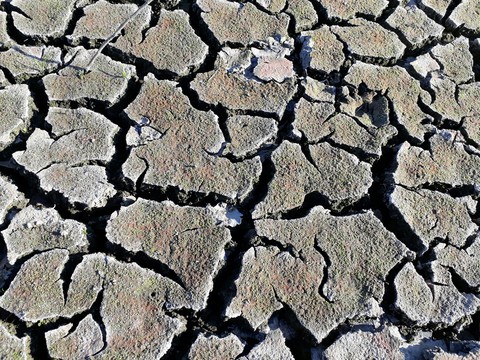 No water