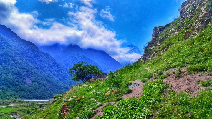 Caucasian Mountains