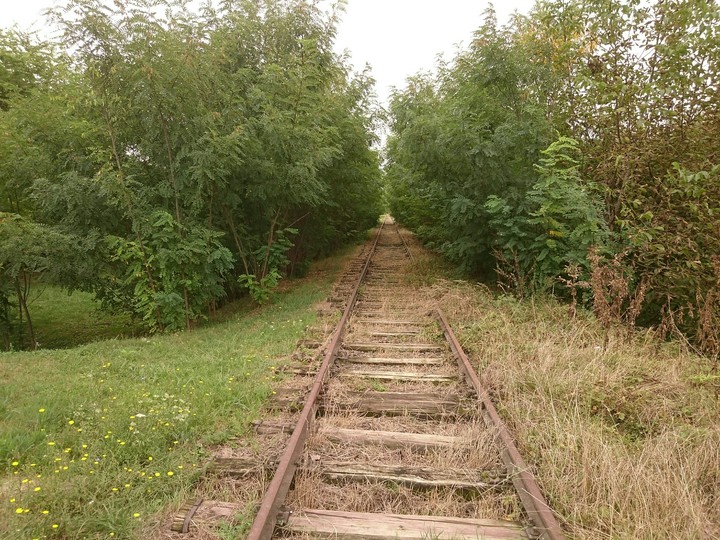 Abandoned Railroad