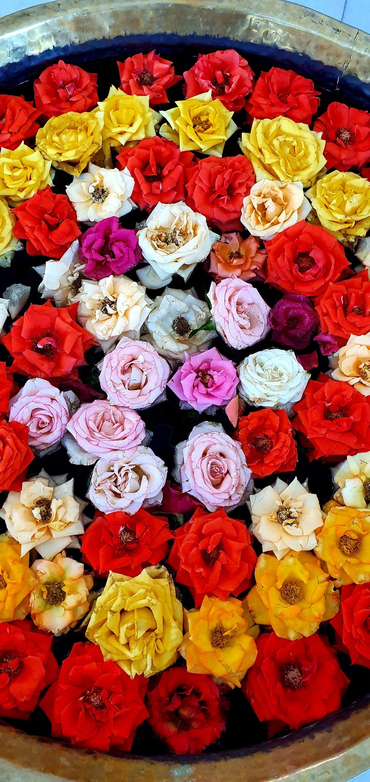 Flowers
