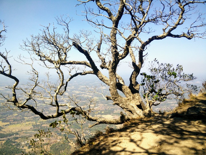 Nelliyampathi