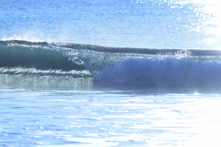 wave