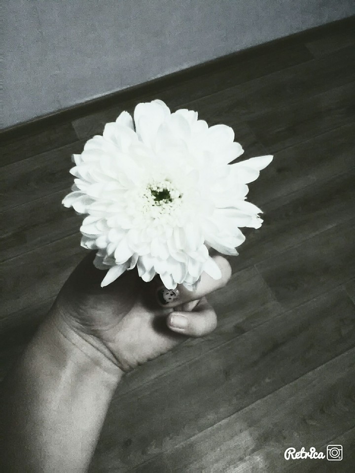#flower