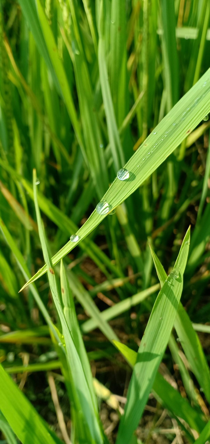 Close to Nature.