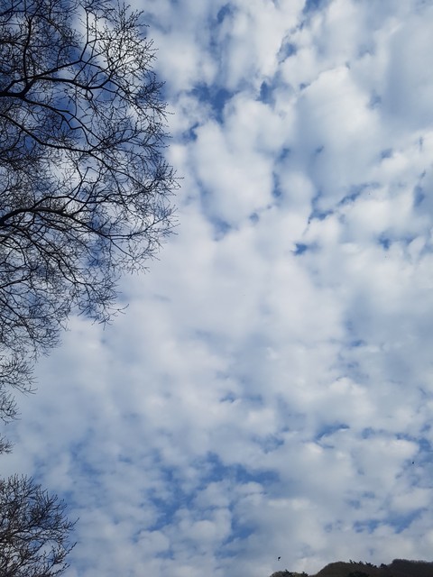 sky