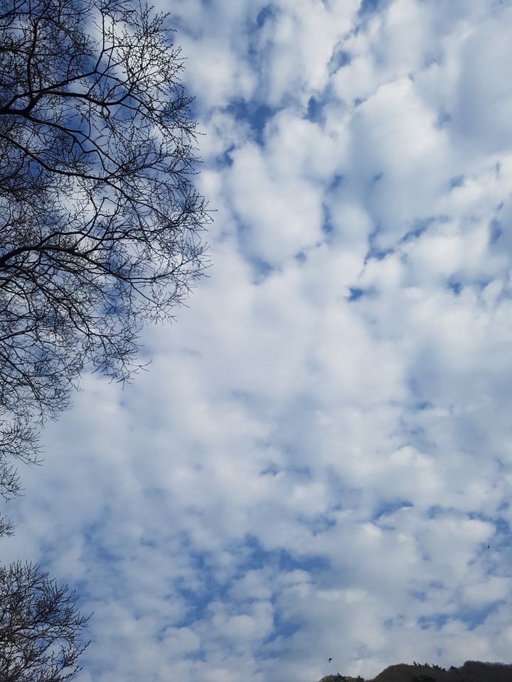 sky