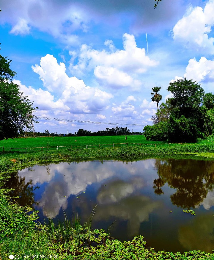 nice place