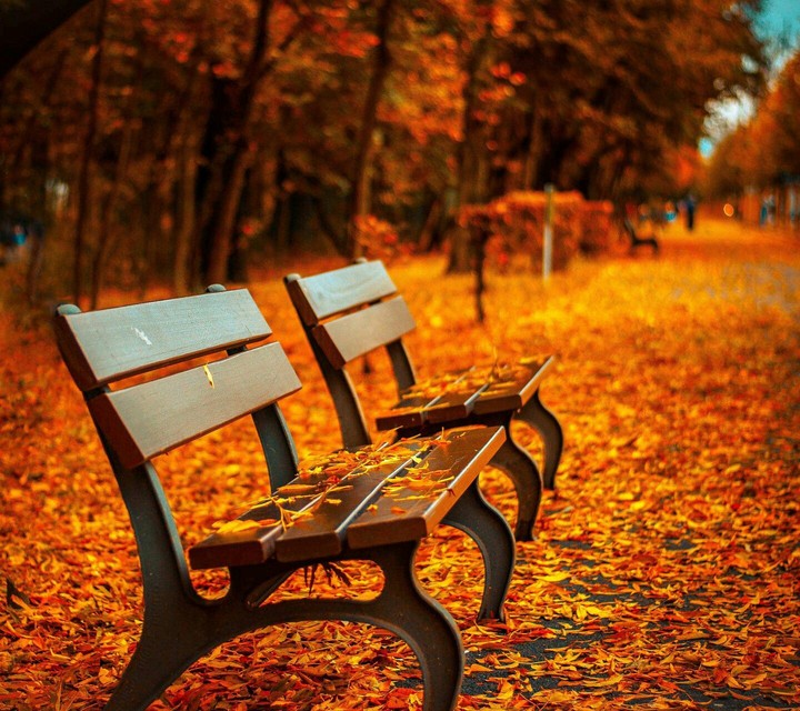 I am alone