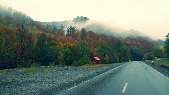 Autumn