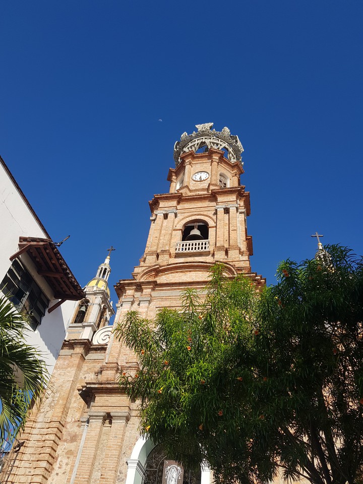 mexico.puerto vallarta