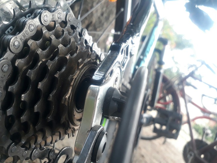 Shimano